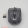 mouse_lotus_3100_03