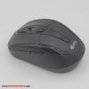 mouse_lotus_3100_04